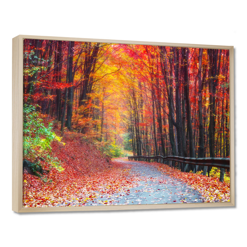 « Road In Beautiful Autumn Forest » - reproduction de photo, H 16 po x l 32 po, Cadre flottant, Érable