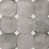 Light Gray/White