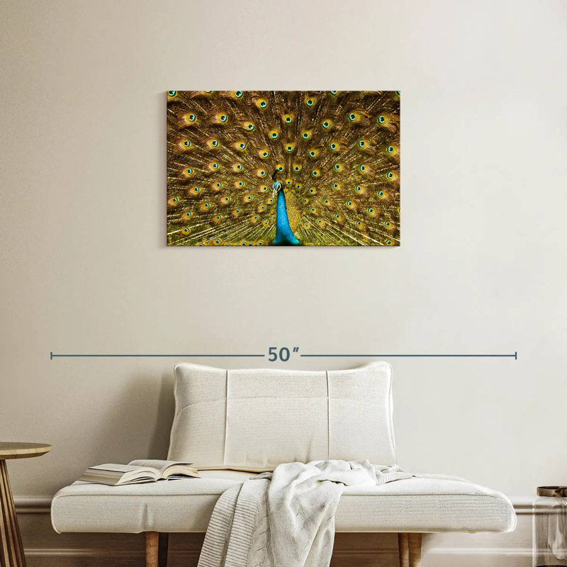 Crowle Peacock Feather, 20" H x 30" W