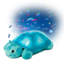 Twinkling Twilight Turtle