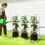 Vertical Garden