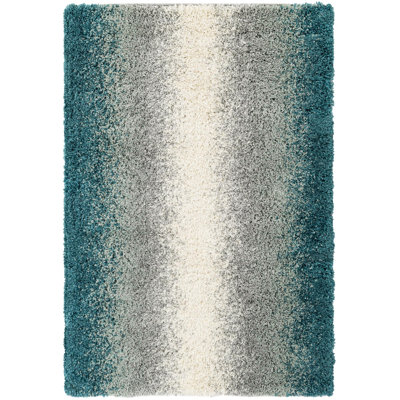  Cloud Soft Touch Shag Rug