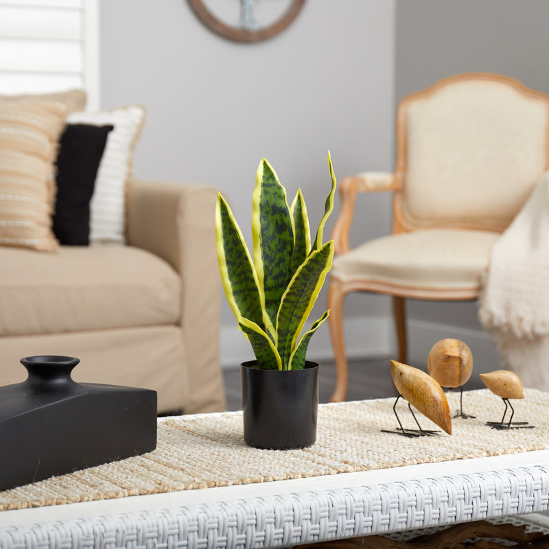 22" H Faux Snake Plant in Pot, 14" H x 6" W x 6" D, Yellow