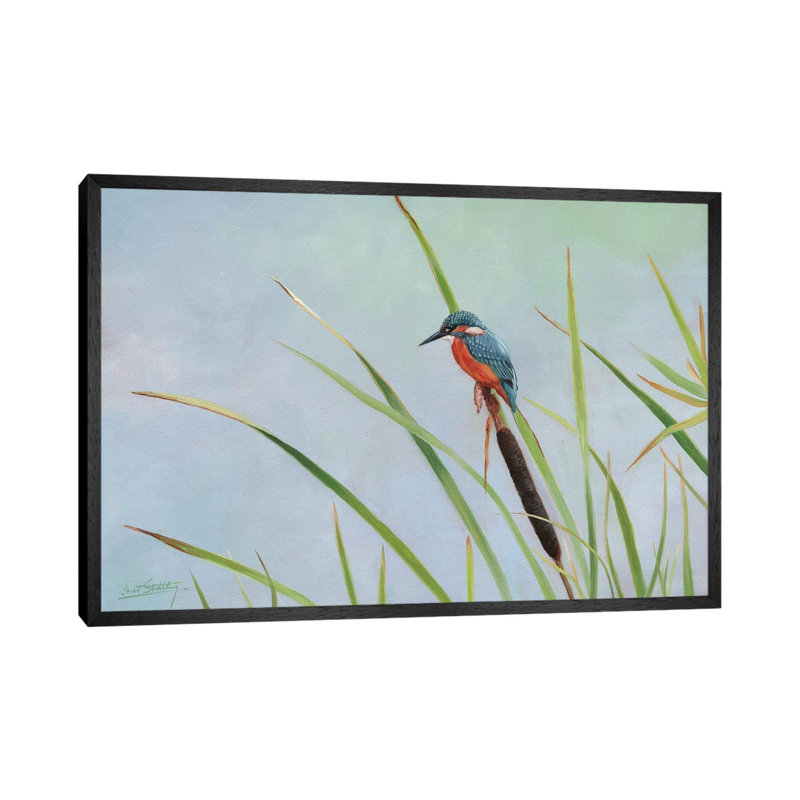Kingfisher Perched Among The Reeds by David Stribbling - Floater Frame Gallery-Wrapped Canvas Giclée on Canvas, Black