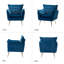 Fauteuil Toulouse-336912265