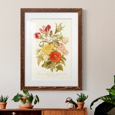 Antique Floral Bouquet I - cadre photo
