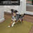 Skid-Resistant Carpet Runner - Olive Green - Many Other Sizes To Choose From-1869212411