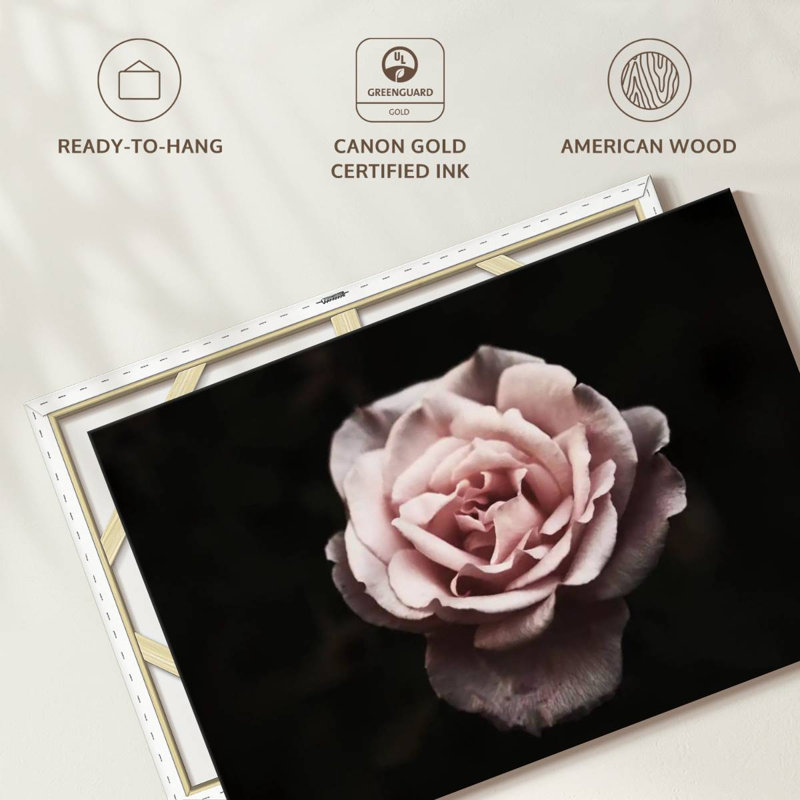 Rose œillet Harnek, H 20 po x l 30 po