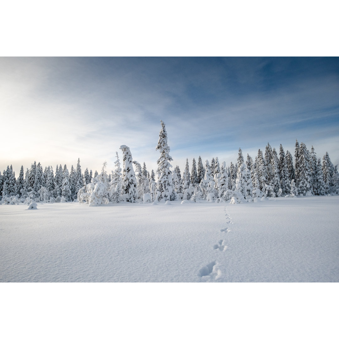 Verschneiter Wald in Norwegen. von Glenn Pettersen - Druck auf Leinwand ohne Rahmen