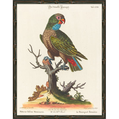 «Green Parrots», reproduction d'impression encadrée