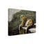 Impression sur toile tendue Etelca «Rimrock Cougar»-27651007