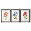 Boy Flying Kite - Impression sur mesure encadrée de qualité supérieure - 3 pièces-19017254-19017252