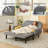 52.5" Sofa Bed Couch,Convertible Loveseat with Reclining Backrest and USB Charging,3 in 1 Sleeper Sofa Couch Bed-352607943