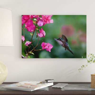 «Magnifique colibri nourrissant une fleur, Costa Rica», reproduction de photo sur toile