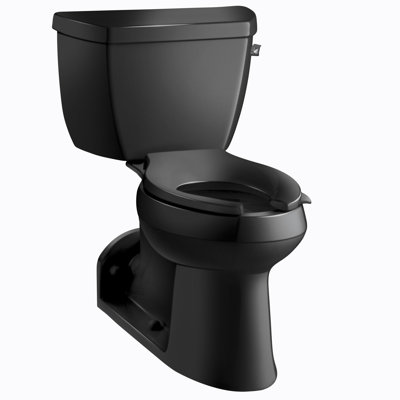 Barrington 1.0 GPF Elongated Two-Piece Toilet with Pressure Lite Flushing Technology