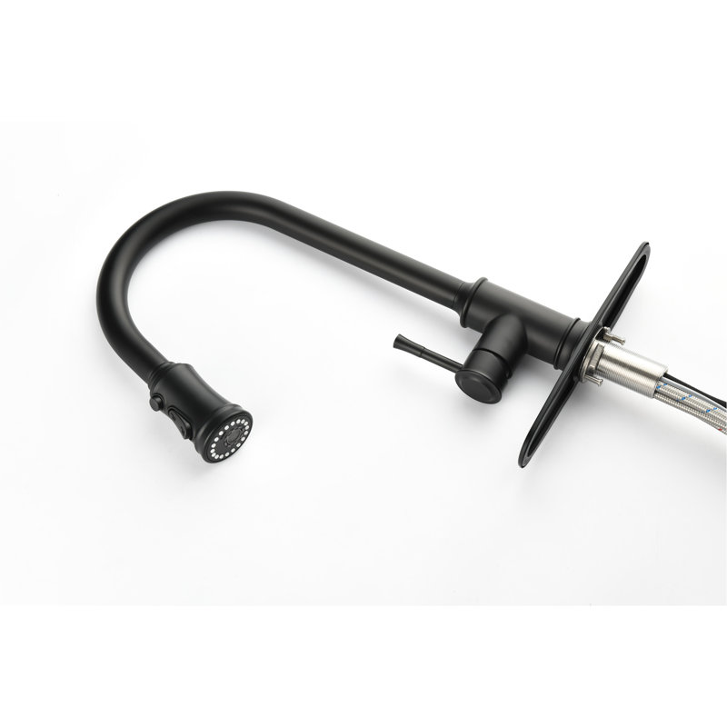 Matt Black Kitchen Faucet, Stainless Steel, Pull Out Spray Feature For Efficient Water Use Steel Faucet In Black, Function