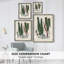 Collection de fougères V, reproduction encadrée - bois massif-2076993583