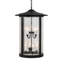 Fulton 8 - Light Chandelier