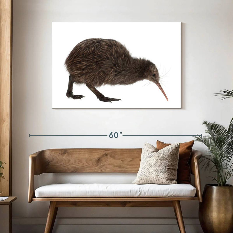 Kiwi Bird, 30" H x 45" W