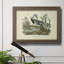 «Louisiana Heron» par John Audubon - peinture sur toile encadrée-1303849317-1339831909