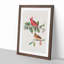 Cardinal Grosbeak Birds by John Audubon - Picture Frame Painting Print-55513936-55513938