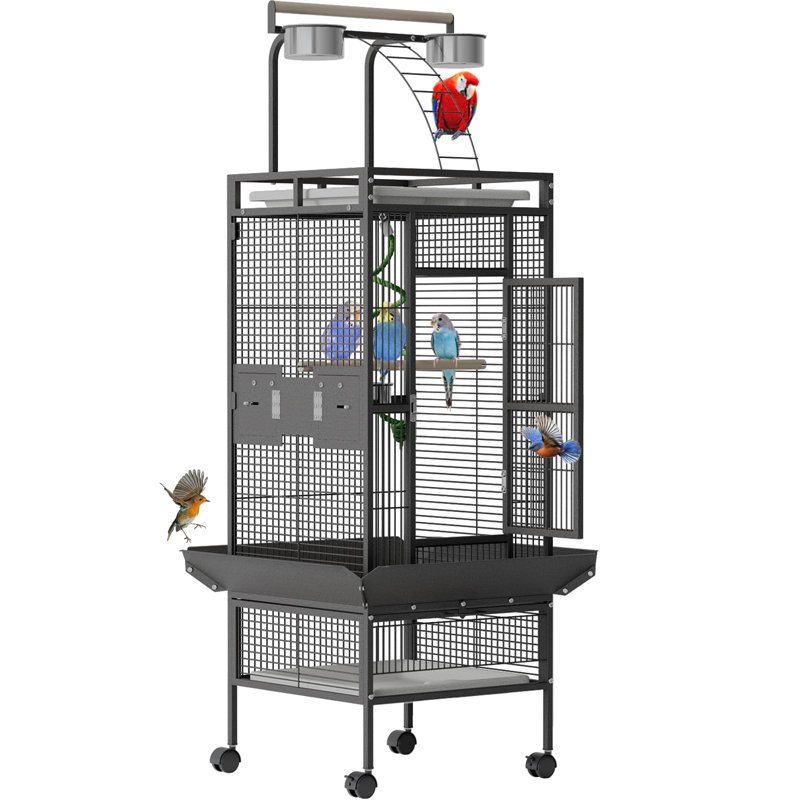 Bird Cage, Black