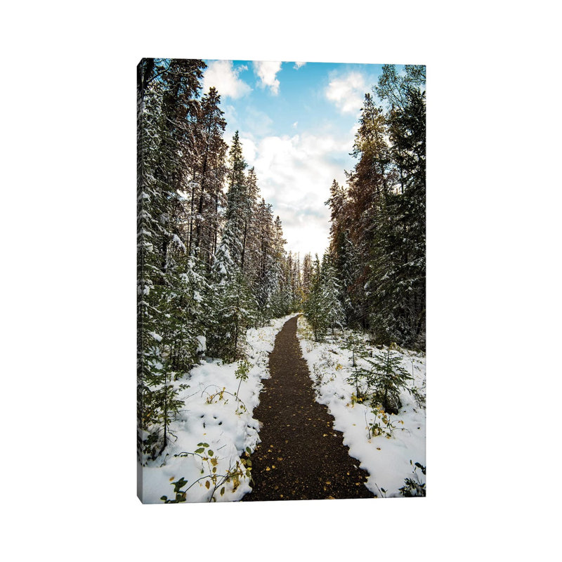Winter Path by Lucas Moore - Wrapped Canvas Print, 20.32 cm H x 30.48 cm W
