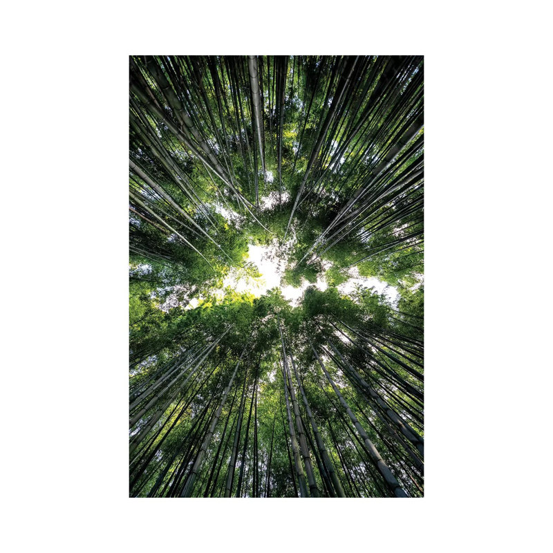 Bamboo Forest III 1 Piece Wrapped Canvas Wall Art, 66.04 cm H x 45.72 cm W x 1.91 cm D