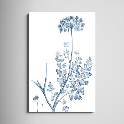 «Antique Botanical In Blue V» par Vision Studio - impression sur toile tendue