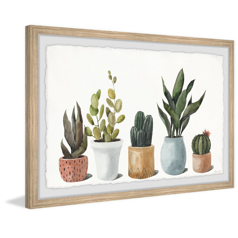 «Ultimate Succulent Collection», reproduction encadrée, H 20 po x l 30 po x P 1,5 po