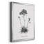 Simply Caladrinia - Cadre photo, impression sur toile-1444810896-1444810897