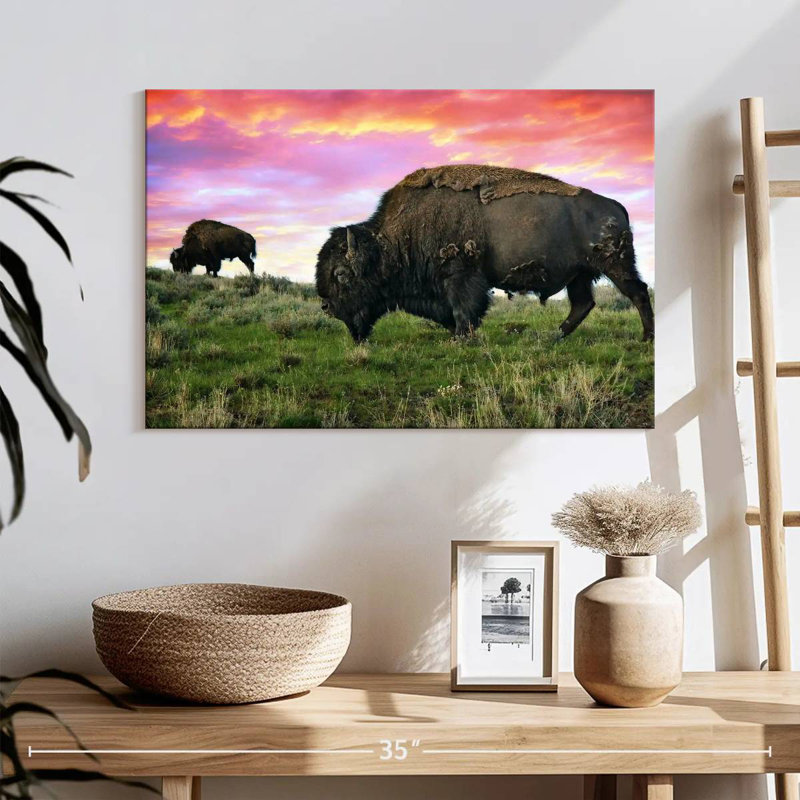 Bison And Buffalo, H 16 po x l 24 po