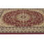Oriental Area Rug in Red