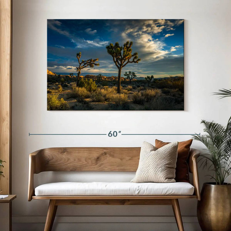 Paysage du parc national Ravi Joshua Tree, H 32 po x l 48 po