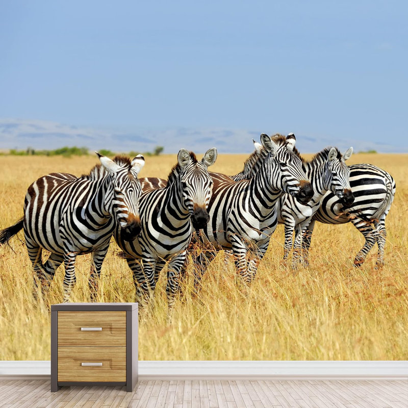 Safari sur le terrain africain Zèbres sauvages Photographie de paysage, L 100 po x l 144 po
