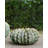 Sunken Boat Handmade Ceramic Table Vase