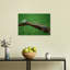 Frog Meets Crocodile Contemporary Crocodile Frog Wall Art Print by Edy Pamungkas - Print-934076845