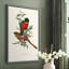 «Elegant Trogons I», reproduction encadrée - bois massif-608127433-608127425
