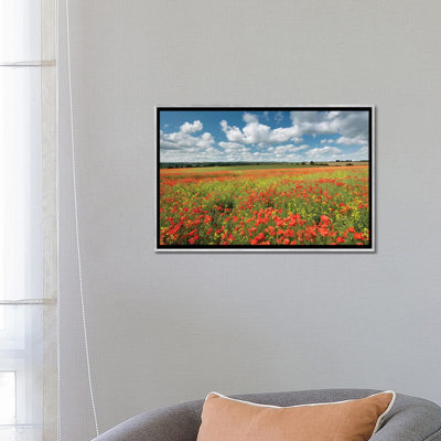 «Colors of Summer» par Adam Burton - reproduction de photo