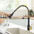FLG Pull Down Kitchen Faucet