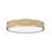 Joanie 16.75 inch 1 Light Flush Mount-1459986882