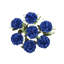 Bouquet de tiges de maman-129090062