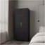 Armoire 2 portes avec tringle suspendue et 2 tiroirs Forest, wengé