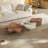 Callingwood Easy Installation Modern Luxury Cloud-Shaped Irregular Coffee Table Set