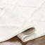 Coito Oriental Area Rug-1739308529