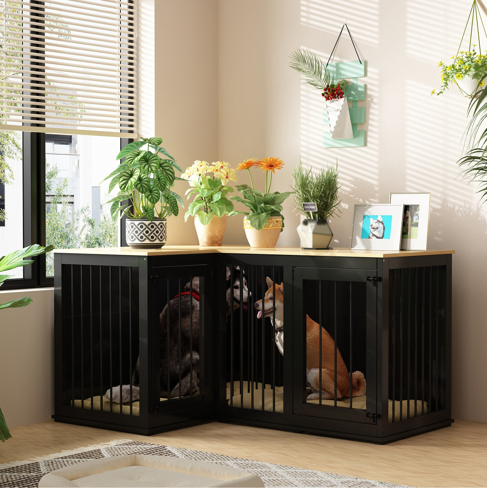 Large Corner Dog Crate With Divider