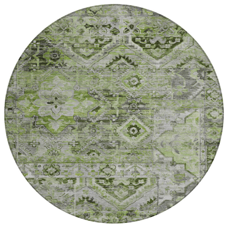 Aelain Aloe Washable Indoor-Outdoor Rug - , 2'6" x 3'10"