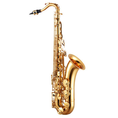 Ensemble de saxophone ténor, si bémol, saxophone professionnel en laiton avec étui de transport, embout buccal, sangles, chiffon de nettoyage, gants, bandoulière, ensemble de saxophone ténor 23 clés, pour débutants, or