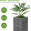 Plant Stand