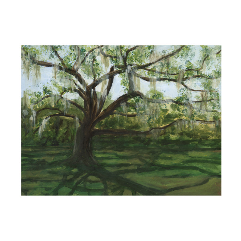 Art mural sur toile Lark Manor ™ par Michael Willett Live Oak II, H 14 po x l 19 po